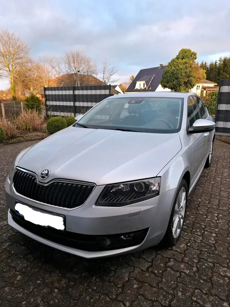 Gebraucht Skoda Octavia 150 PS (110 kW) 2014 Silber Kombi