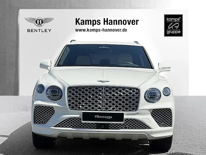 Neu Bentley Bentayga 462 PS (339 kW) 2026 Weiß SUV