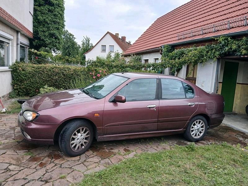 Gebraucht Nissan Primera 116 PS (85 kW) 2002 Violet Limousine