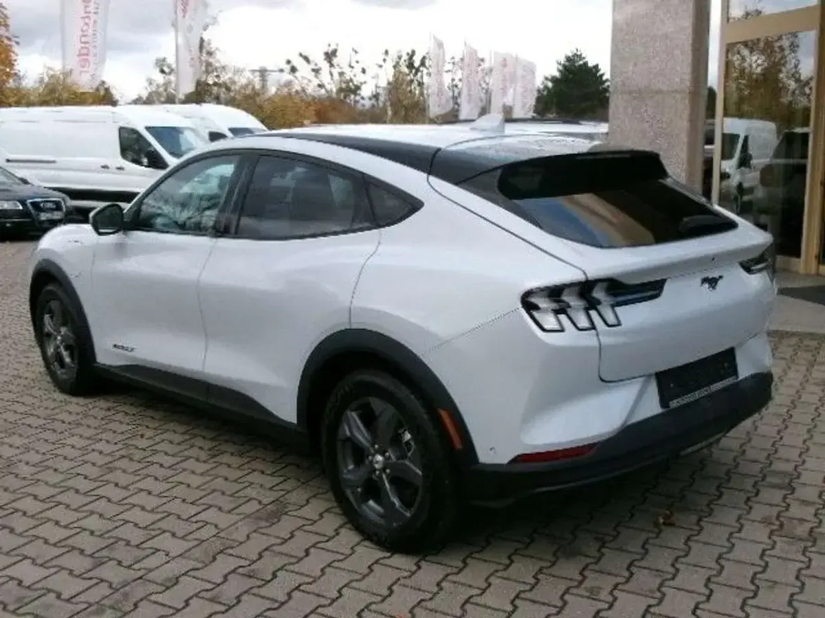 Occasion Ford Mustang 294 ch (216 kW) 2022 Blanc Berline