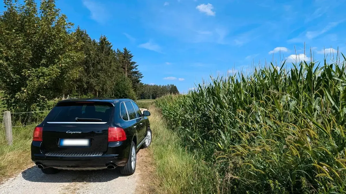 Gebraucht Porsche Cayenne 250 PS (183 kW) 2005 Schwarz SUV
