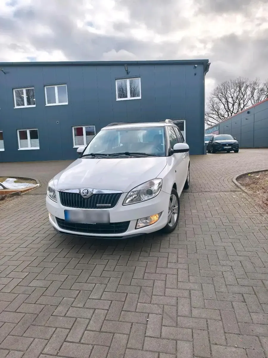 Gebraucht Skoda Fabia GreenLine 75 PS (55 kW) 2014 Weiß Kombi