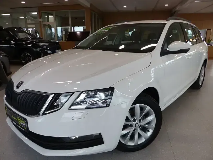 Gebraucht Skoda Octavia Tour 150 PS (110 kW) 2020 Andere Kombi