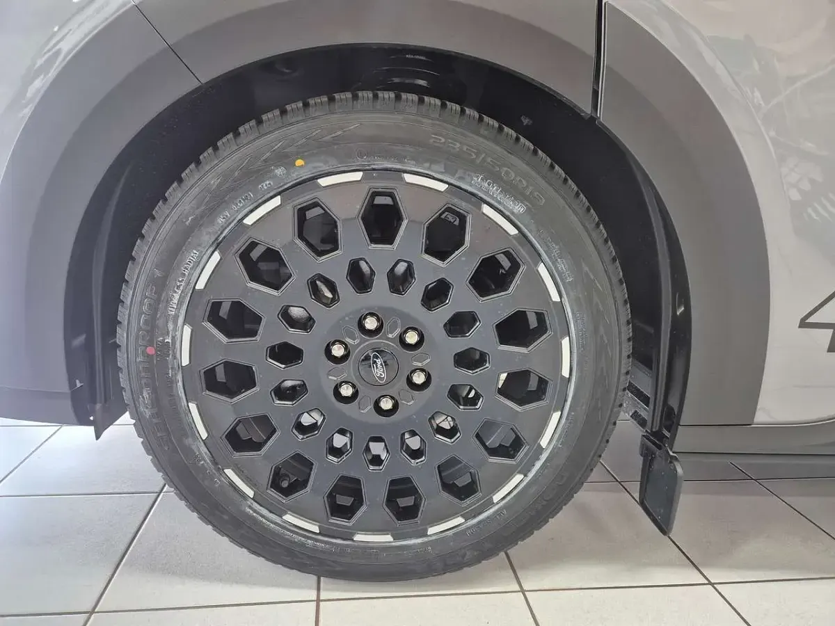 Gebraucht Ford Tourneo Custom Active 170 PS (125 kW) 2026 Grey matter Van