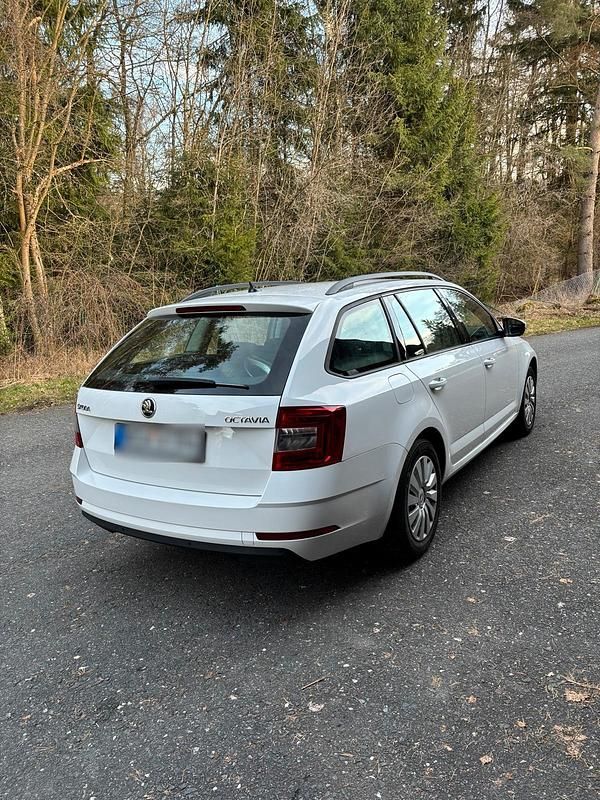 Usata Skoda Octavia Active 116 CV (85 kW) 2019 Bianco Station wagon