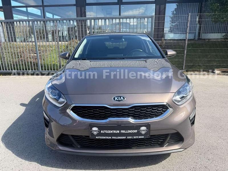 Usata Kia Ceed 101 CV (74 kW) 2019 Marrone Utilitaria