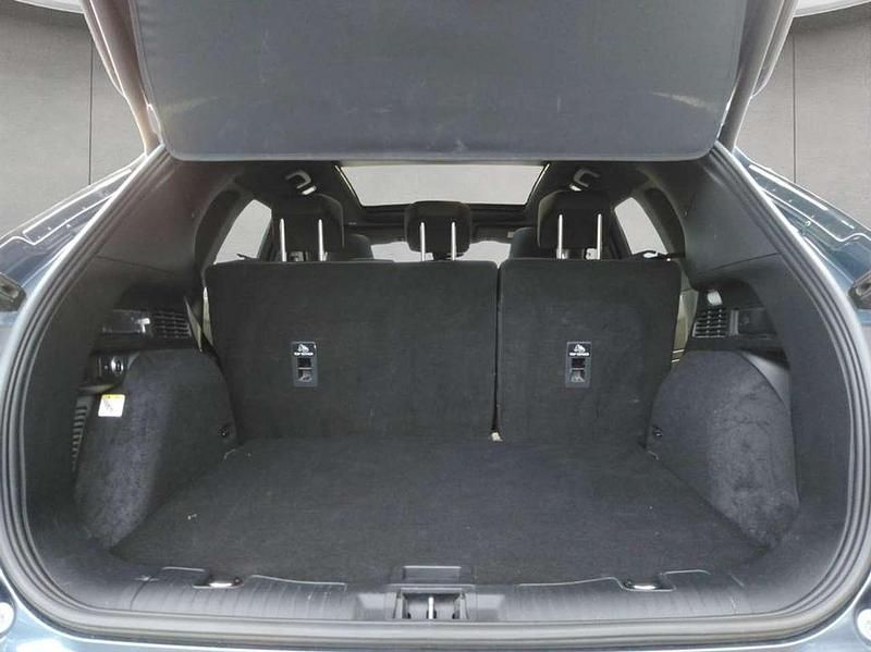 Gebraucht Ford Kuga ST-Line X 151 PS (111 kW) 2023 Blau SUV