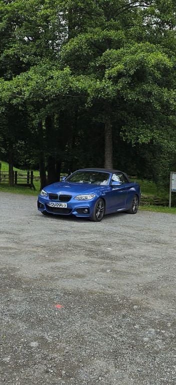 Blau Gebraucht 2016 BMW 220 Sport Line Cabrio | 16.000 € (Guter Preis) - Bild 1/1