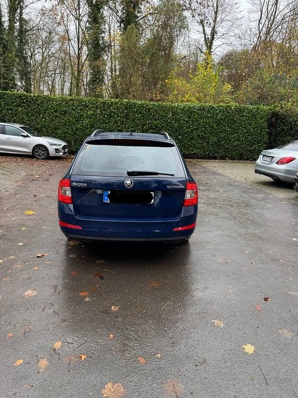 Gebraucht Skoda Octavia 150 PS (110 kW) 2016 Blau Kleinwagen