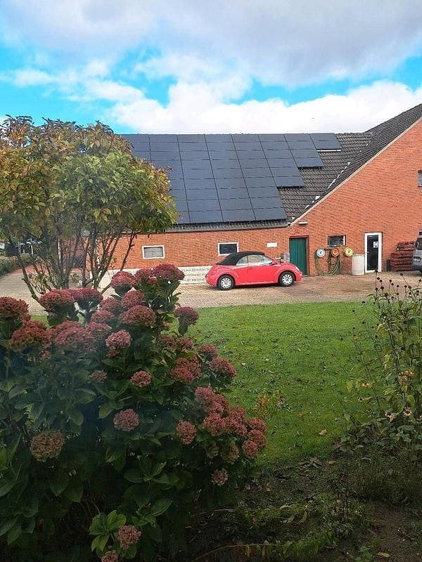 Gebraucht VW Beetle Cabriolet 75 PS (55 kW) 2003 Rot Cabrio