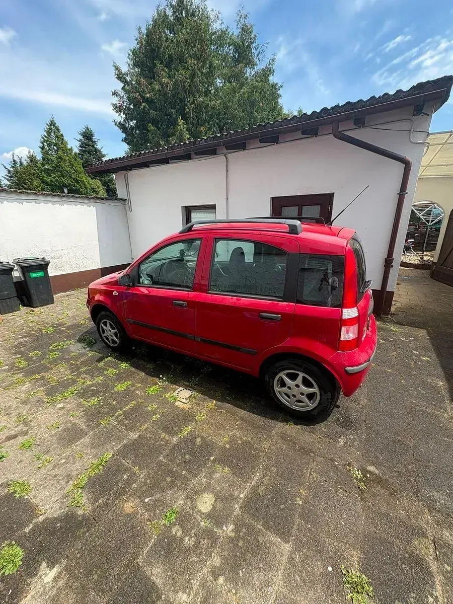 Gebraucht Fiat Panda Active 54 PS (39 kW) 2009 Rot Kleinwagen