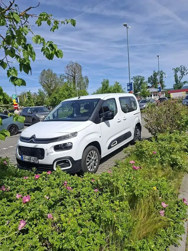 Gebraucht Citroën Berlingo 102 PS (75 kW) 2023 Van / Kleinbus