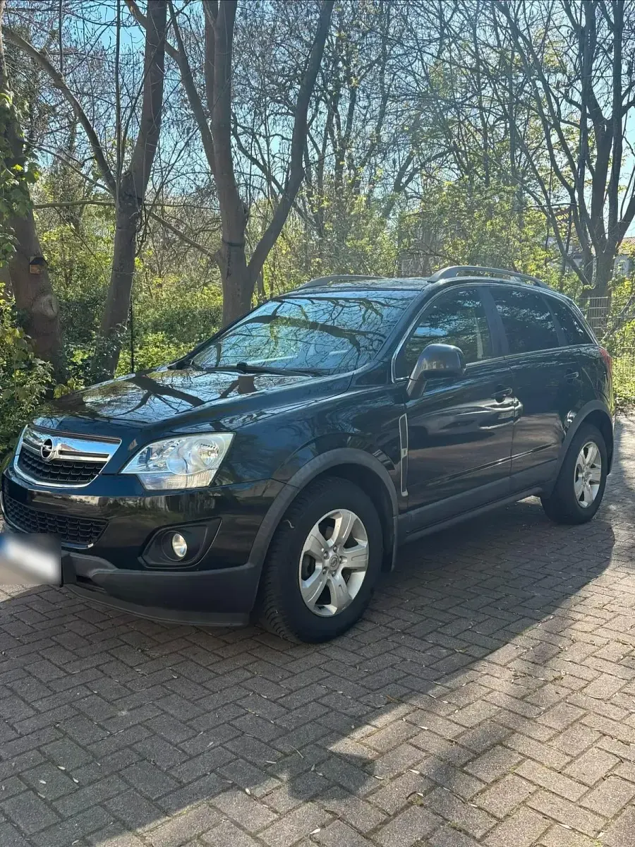 Occasion Opel Antara 167 ch (122 kW) 2011 Noir SUV