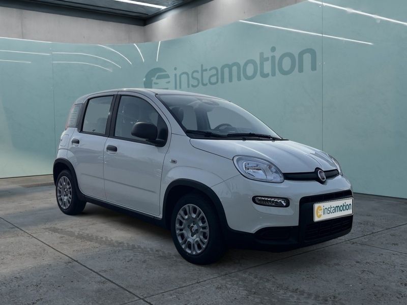 Weiß Neu 2025 Fiat Panda Kleinwagen | 16.790 € - Bild 1/3