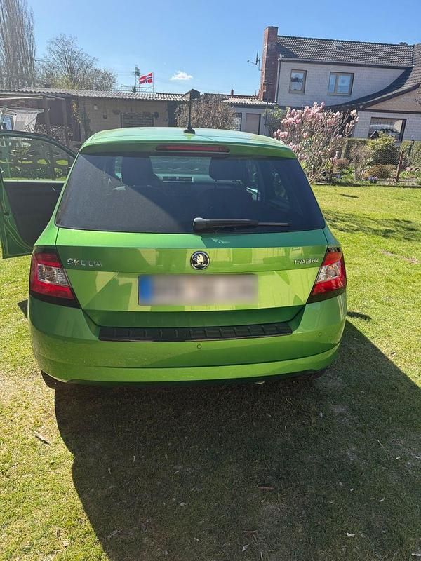 Gebraucht Skoda Fabia 2018 Grün Kleinwagen