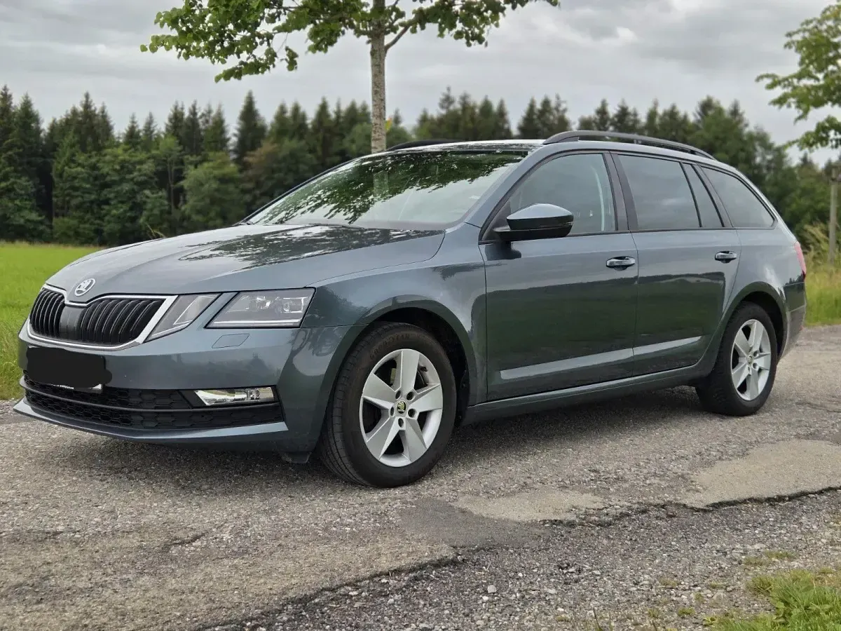 Gebraucht Skoda Octavia Ambition 150 PS (110 kW) 2018 Grau Kombi