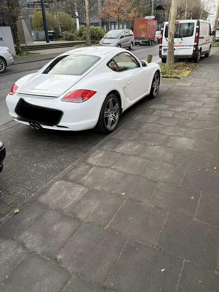 Gebraucht Porsche Cayman S 340 PS (250 kW) 2010 Weiß Coupé