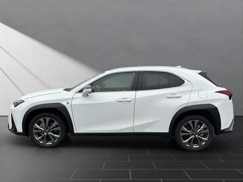Gebraucht Lexus UX 250h Sport Line 184 PS (135 kW) 2023 Weiß SUV