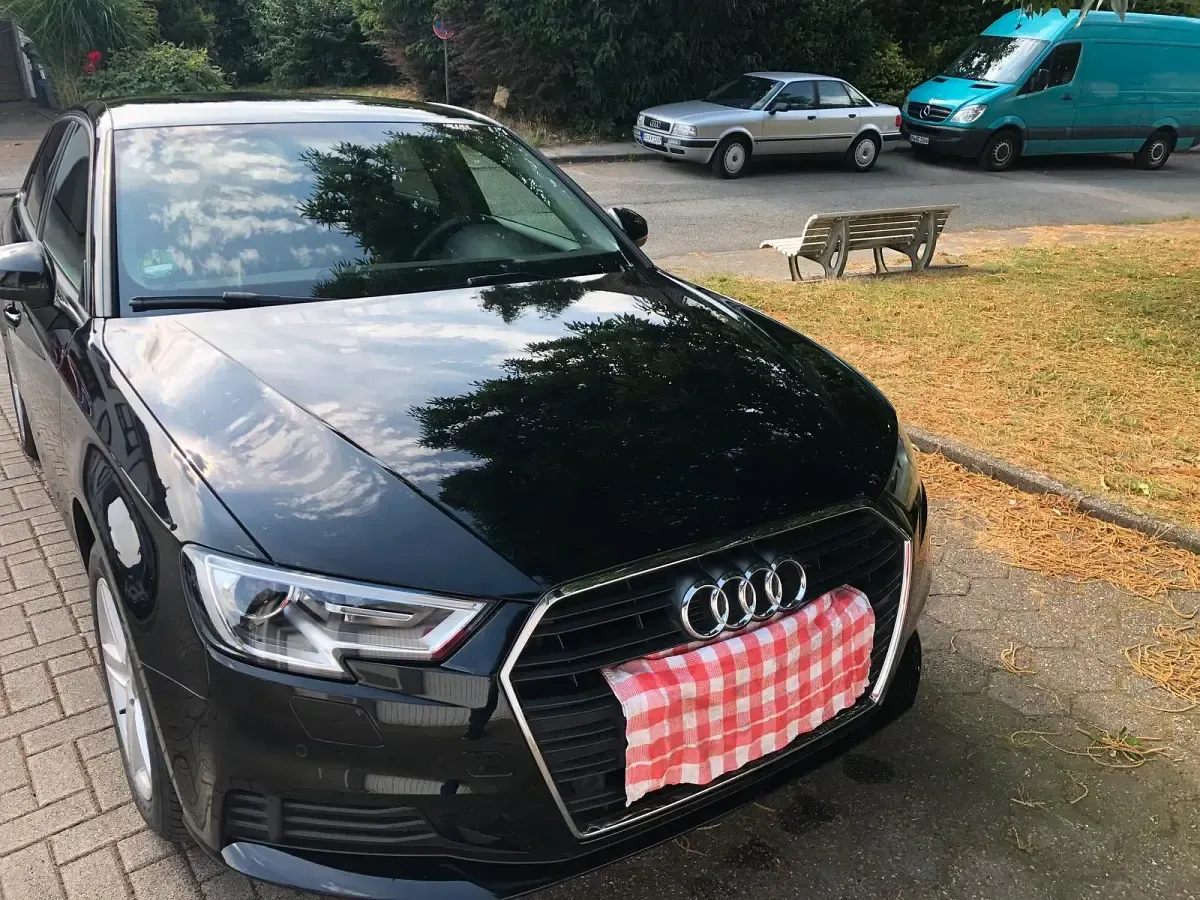 Gebraucht Audi A3 150 PS (110 kW) 2017 Schwarz Kombi