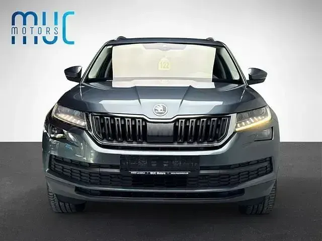 Gebraucht Skoda Kodiaq Style 179 PS (131 kW) 2018 Grau SUV