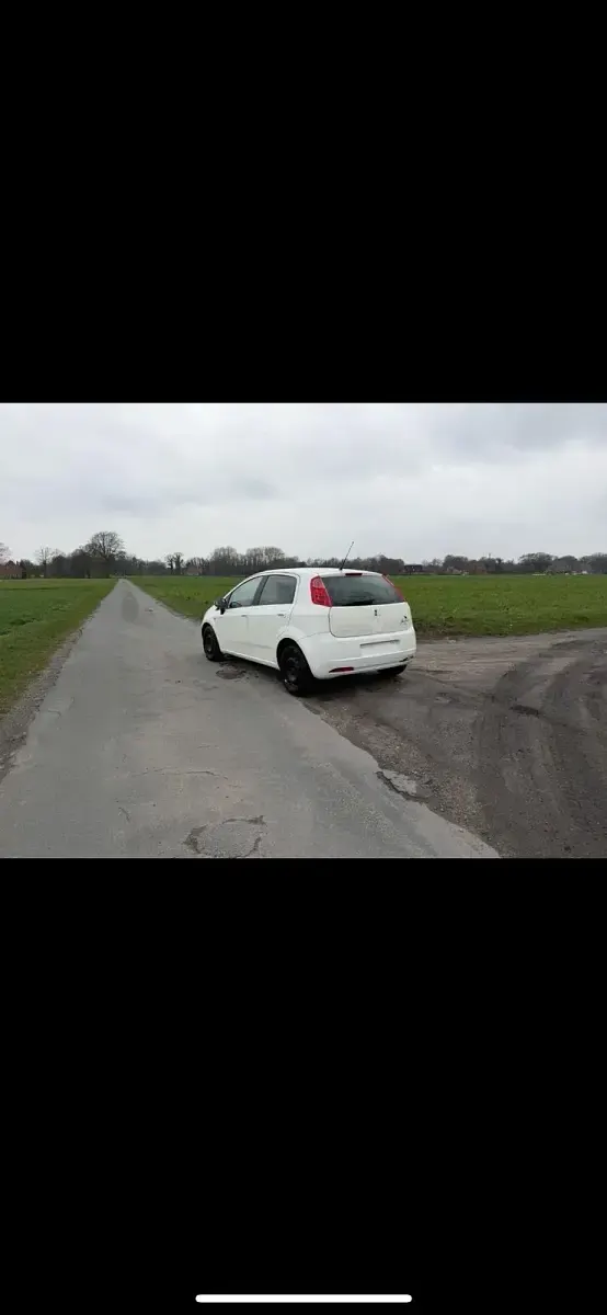 Gebraucht Fiat Punto 70 PS (51 kW) 2008 Weiß Kleinwagen