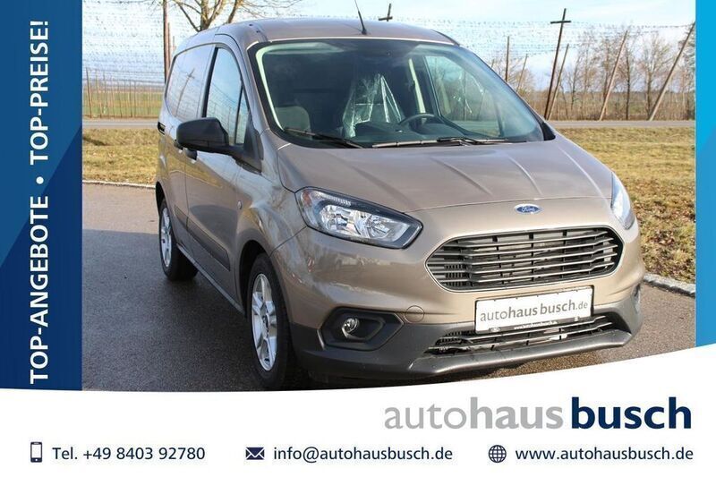Pyritsilber Gebraucht 2023 Ford Transit Trend Van / Kleinbus | 16.480 € (Superpreis) - Bild 1/4