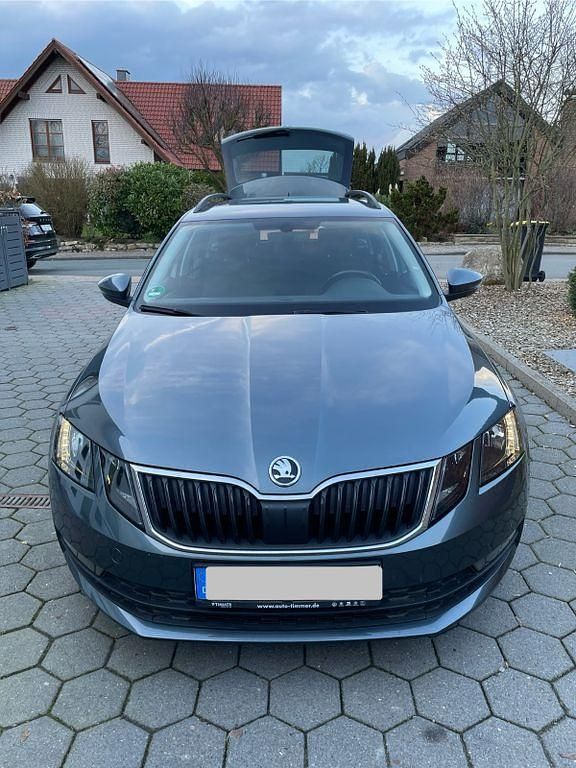 Gebraucht Skoda Octavia Drive 116 PS (85 kW) 2017 Grau Kombi