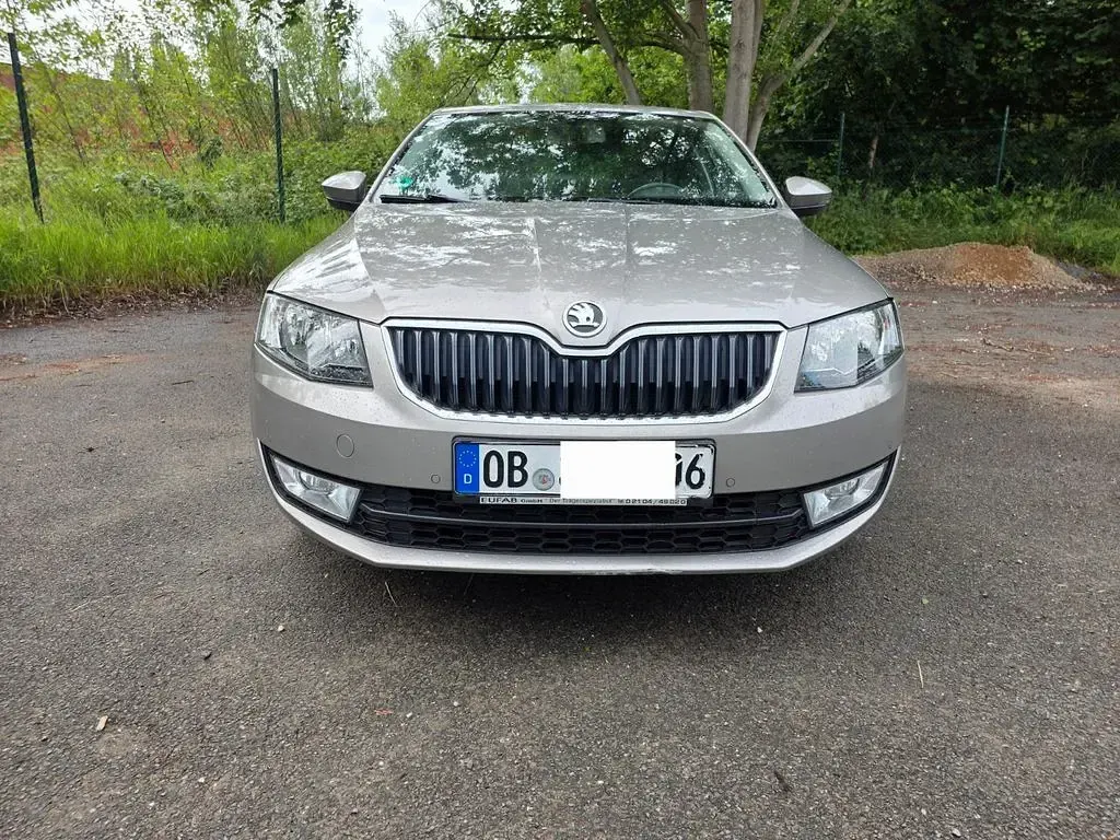 Gebraucht Skoda Octavia Joy 110 PS (80 kW) 2016 Grau Kombi