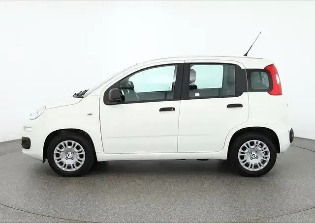 Neu Fiat Panda Connect 71 PS (52 kW) 2025 Gelatoweiss Kleinwagen