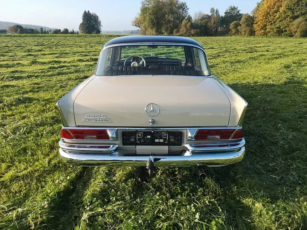 Gebraucht Mercedes 230 163 PS (119 kW) 1967 Beige Limousine