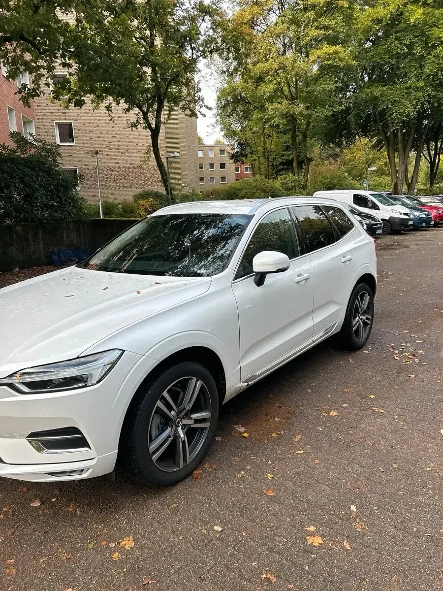Gebraucht Volvo XC60 197 PS (144 kW) 2019 Weiß SUV