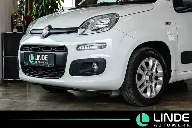 Gebraucht Fiat Panda Connect 110 PS (80 kW) 2017 Weiß Kleinwagen