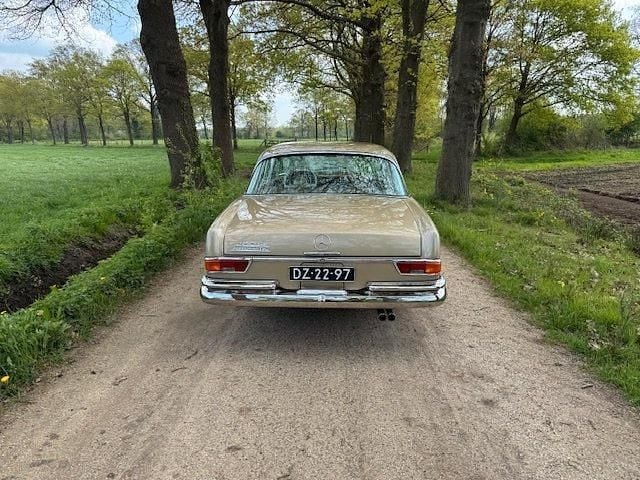 Gebraucht Mercedes 280 1969 Gold Coupé