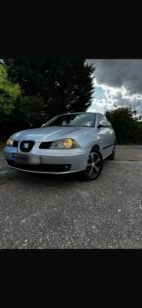 Gebraucht Seat Ibiza 80 PS (58 kW) 2005 Silber Kleinwagen