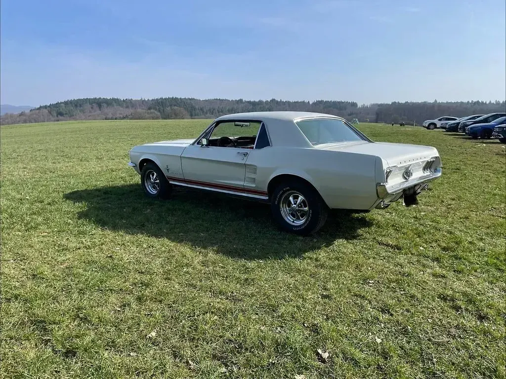 Gebraucht Ford Mustang 190 PS (139 kW) 1967