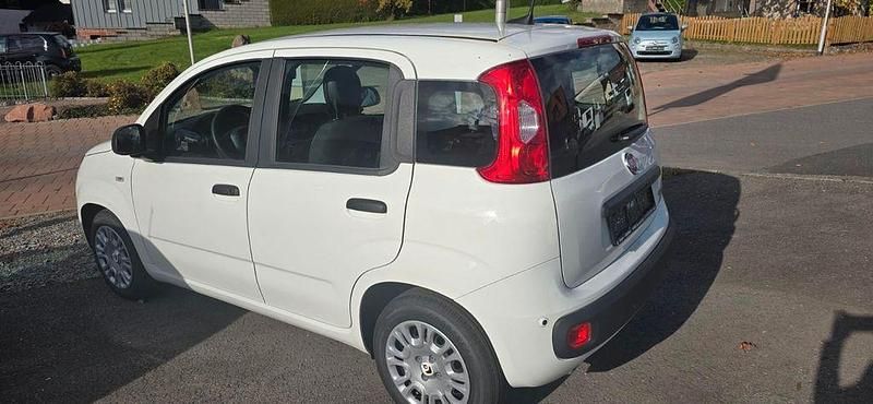 Neu Fiat Panda 69 PS (50 kW) 2025 Weiß Kleinwagen