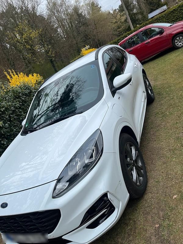 Gebraucht Ford Kuga ST-Line 225 PS (165 kW) 2021 Weiß SUV