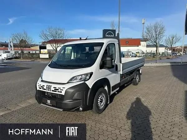 Weiss gelato weiss Neu 2026 Fiat Ducato Van | 39.092 € (Teuer) - Bild 1/4