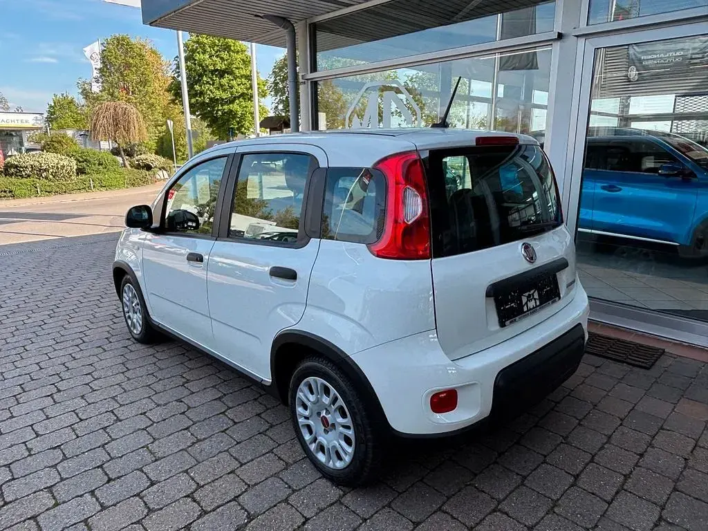Gebraucht Fiat Panda 69 PS (50 kW) 2023 Weiß Kleinwagen