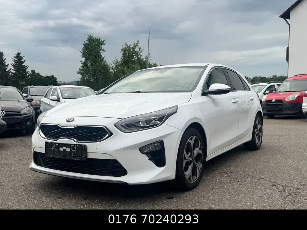 Gebraucht Kia Ceed First Edition 116 PS (85 kW) 2018 Weiß Kleinwagen
