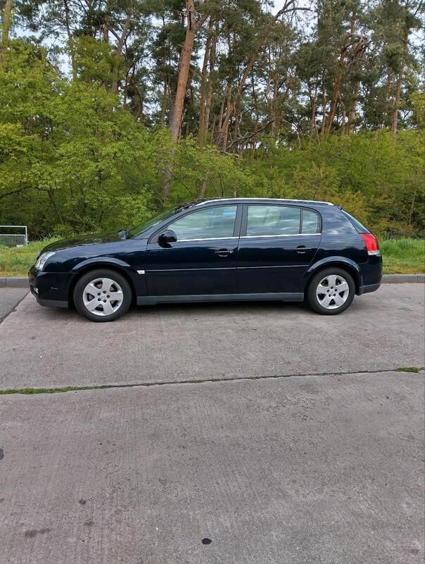 Blau Gebraucht 2003 Opel Signum Kombi | 4.000 € (Teuer) - Bild 1/4