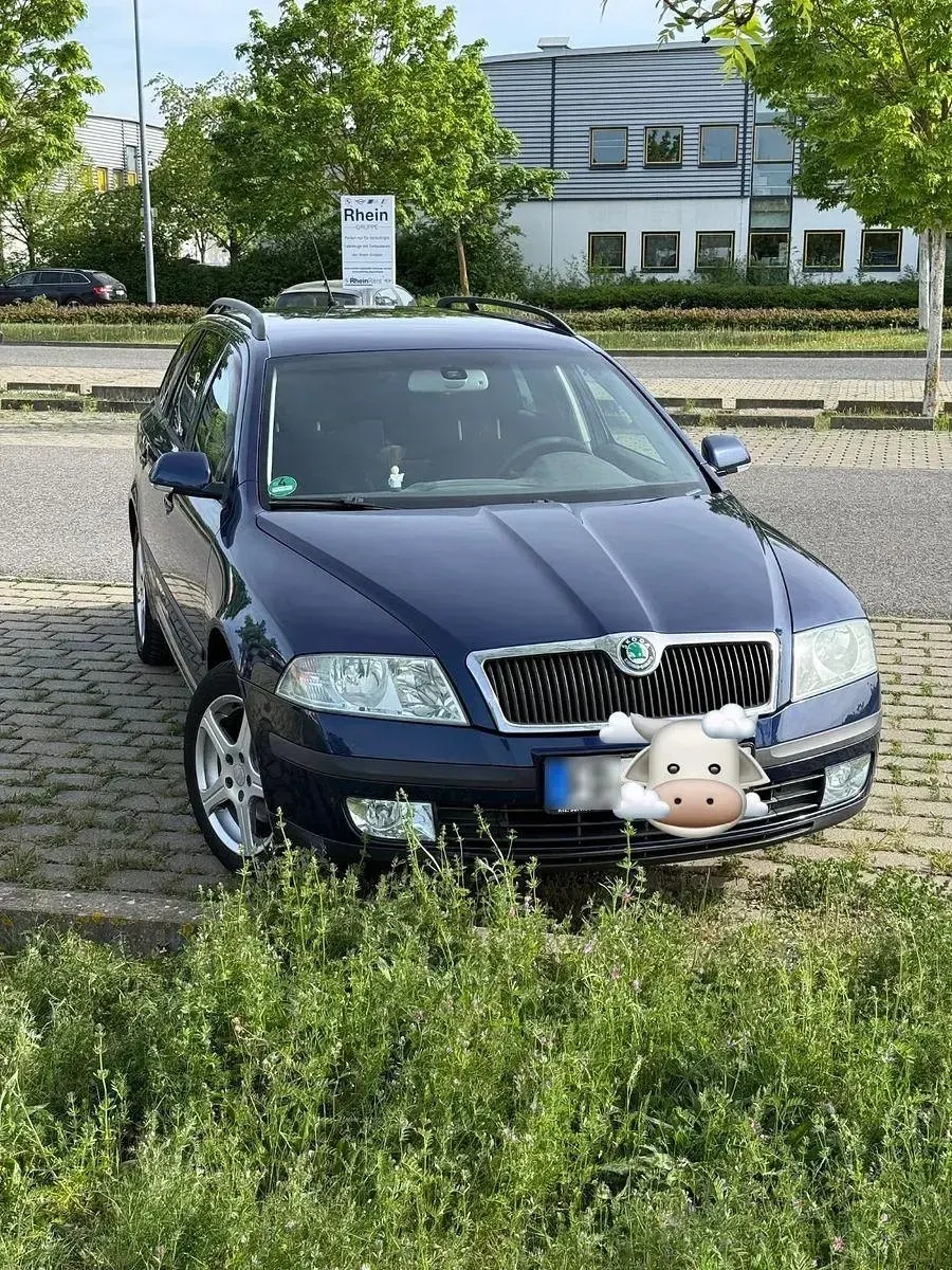Gebraucht Skoda Octavia Elegance 150 PS (110 kW) 2006 Blau Kombi