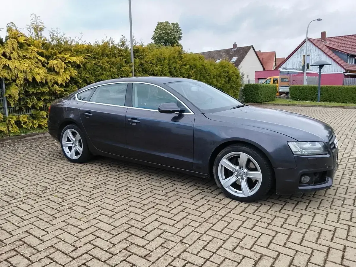 Gebraucht Audi A5 Sportback Performance 190 PS (139 kW) 2011 Braun Kleinwagen