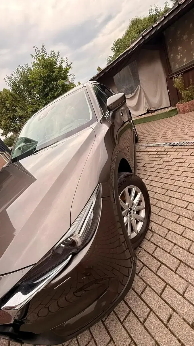 Gebraucht Mazda CX-5 Sports-Line 194 PS (142 kW) 2018 Braun SUV