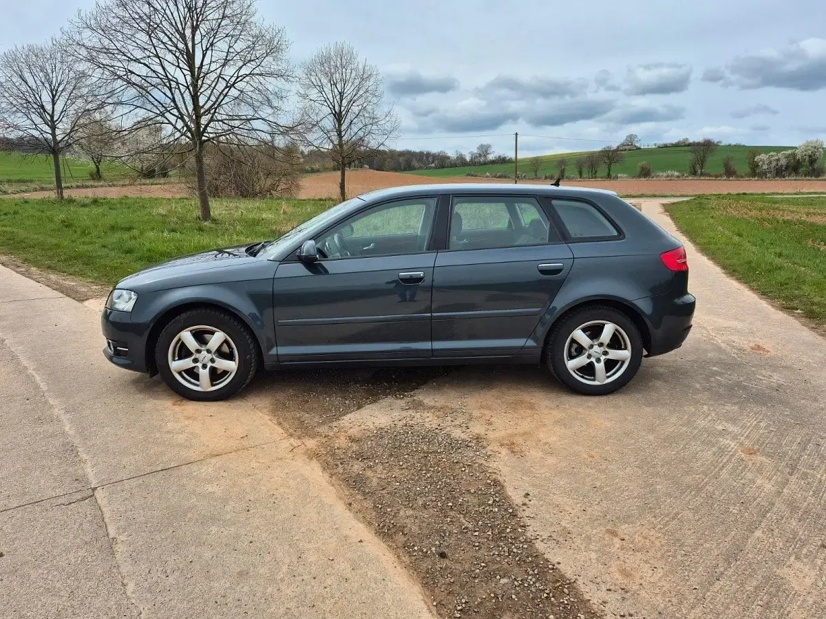 Gebraucht Audi A3 Ambiente 125 PS (91 kW) 2011 Grau Kleinwagen