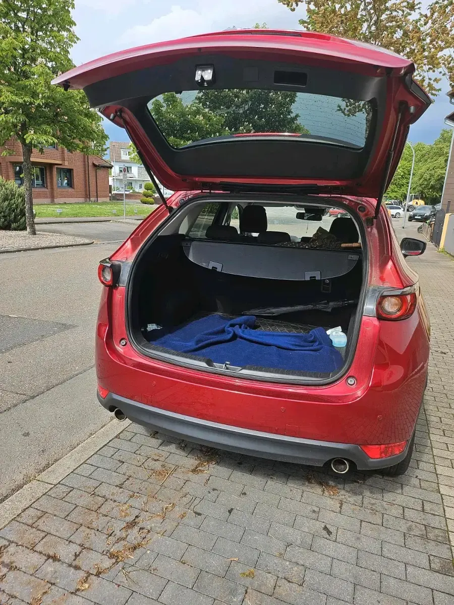 Gebraucht Mazda CX-5 165 PS (121 kW) 2017 Rot SUV