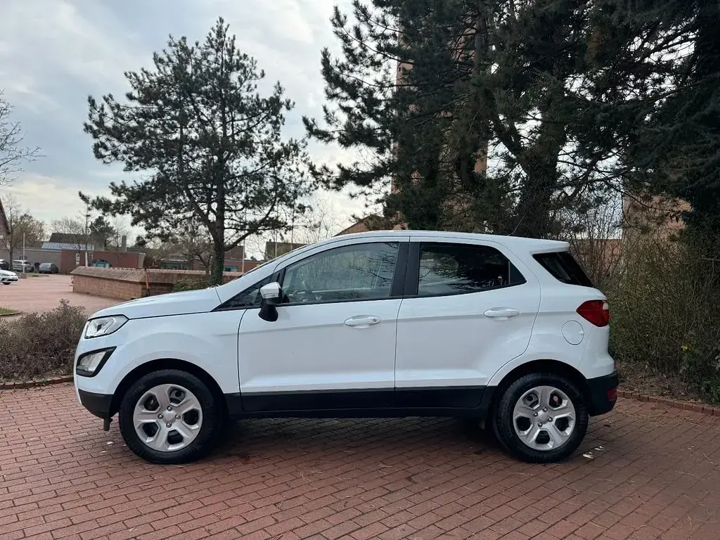 Gebraucht Ford Ecosport 101 PS (74 kW) 2019 Weiß SUV