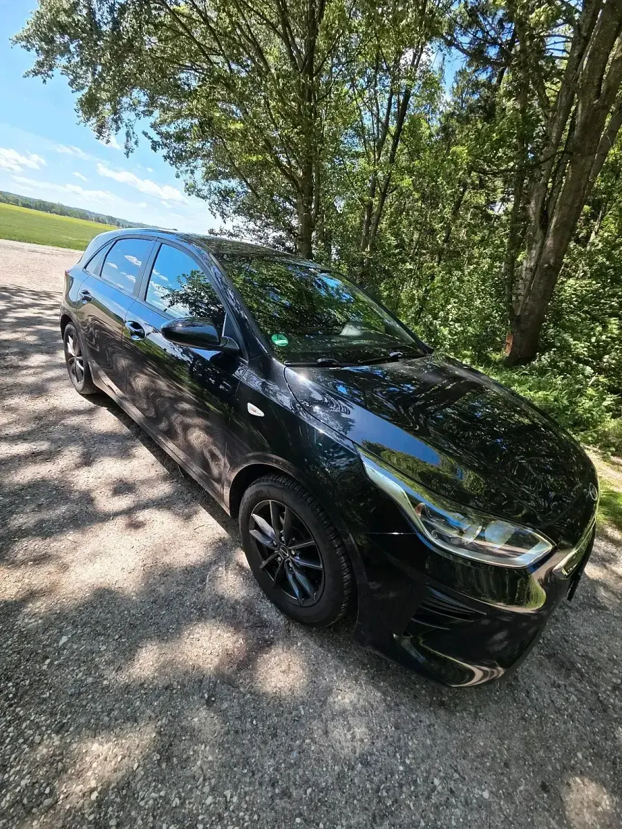 Gebraucht Kia Ceed Vision 120 PS (88 kW) 2019 Schwarz Kleinwagen