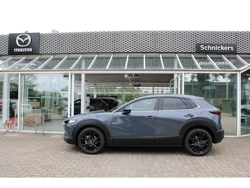 Gebraucht Mazda CX-30 Homura-Line 150 PS (110 kW) 2024 Grau SUV