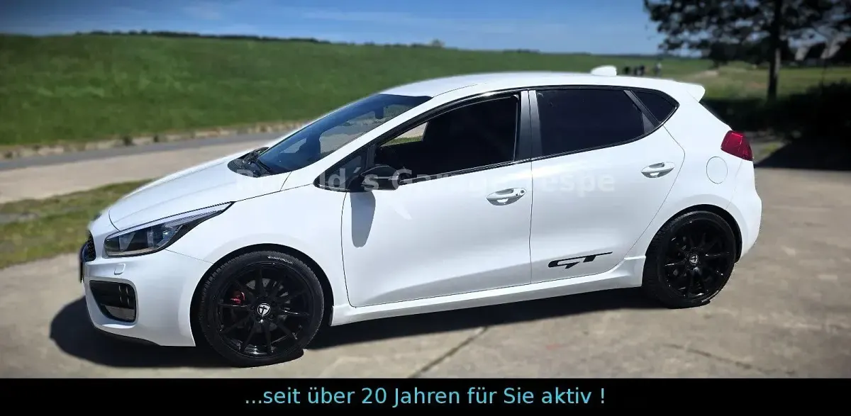 Gebraucht Kia Ceed GT GT 204 PS (150 kW) 2014 Weiß Limousine